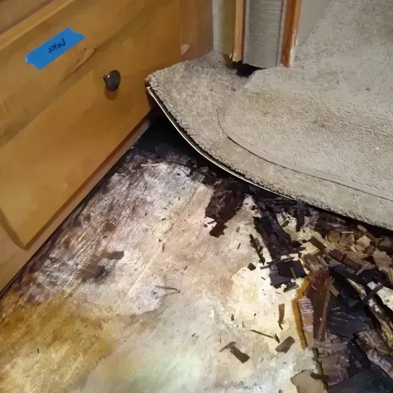 Wood Floor Water Damage in Norwood, NC